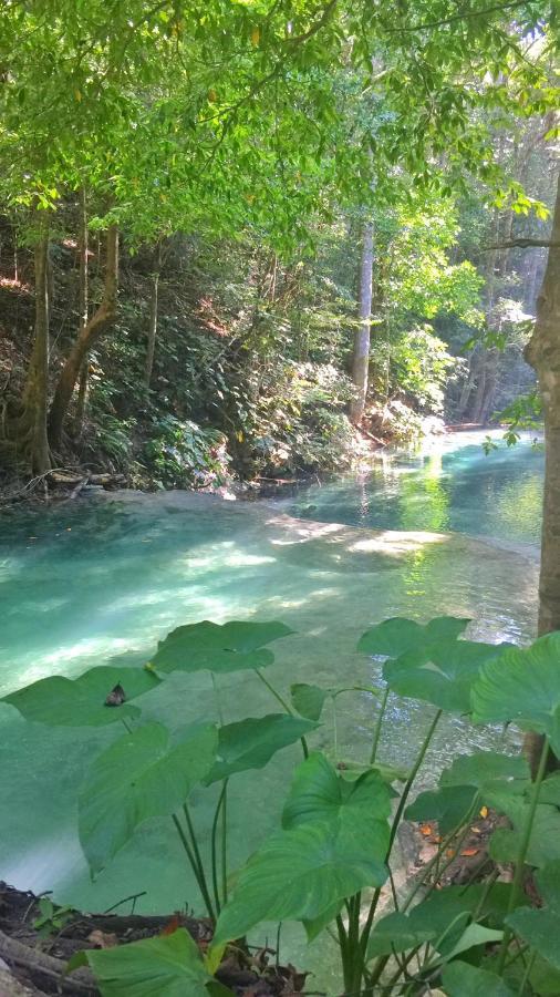 Maleo Moyo Hotel & Dive Resort Moyo Island エクステリア 写真