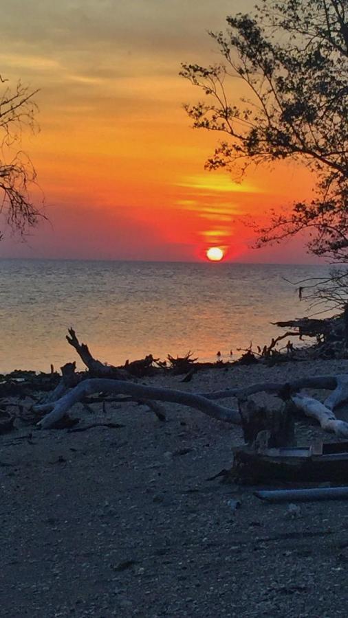 Maleo Moyo Hotel & Dive Resort Moyo Island エクステリア 写真