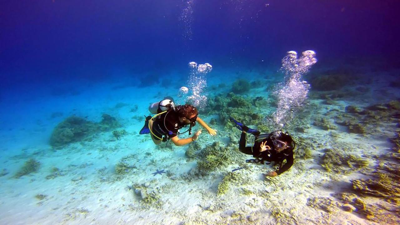 Maleo Moyo Hotel & Dive Resort Moyo Island エクステリア 写真